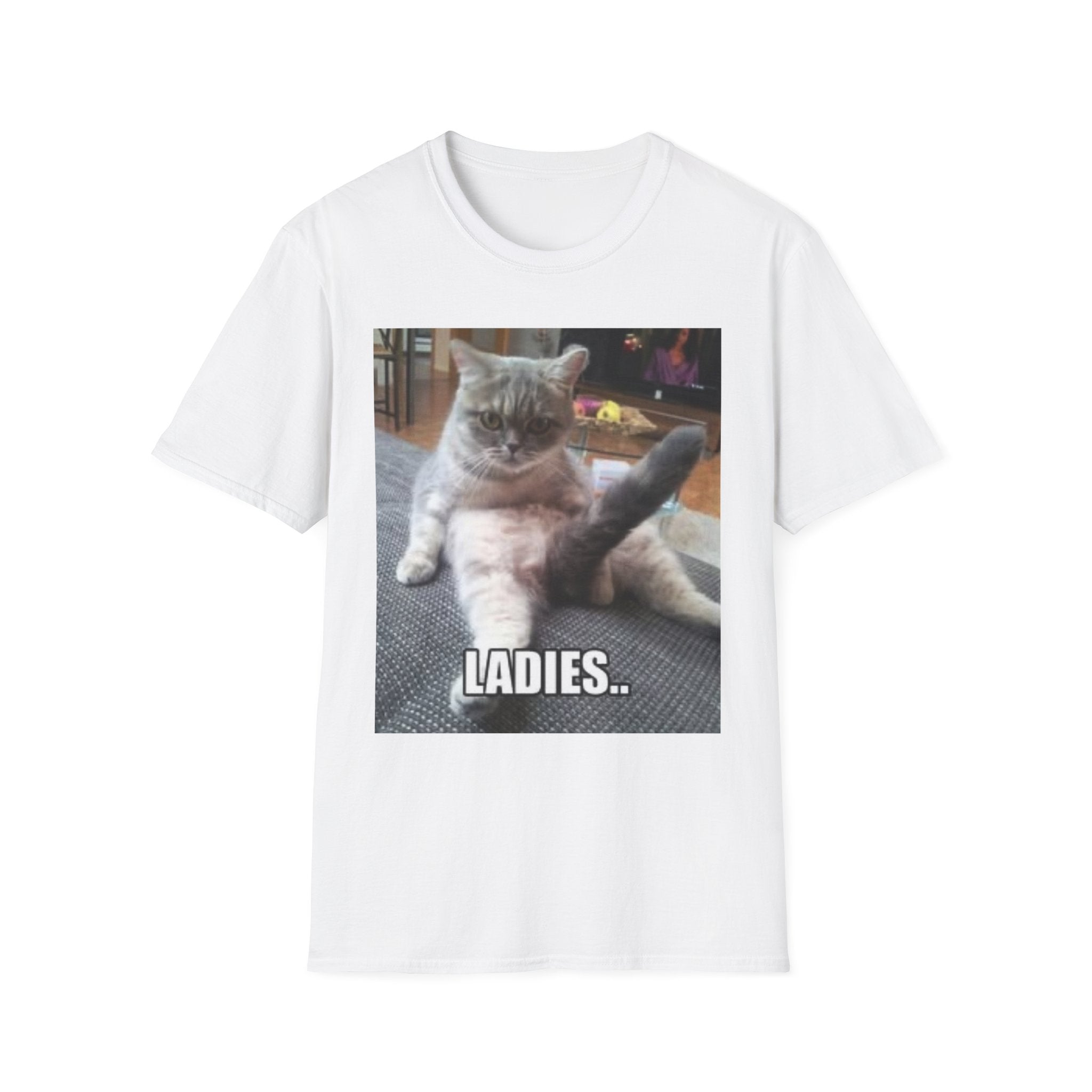 Ladies… 😼