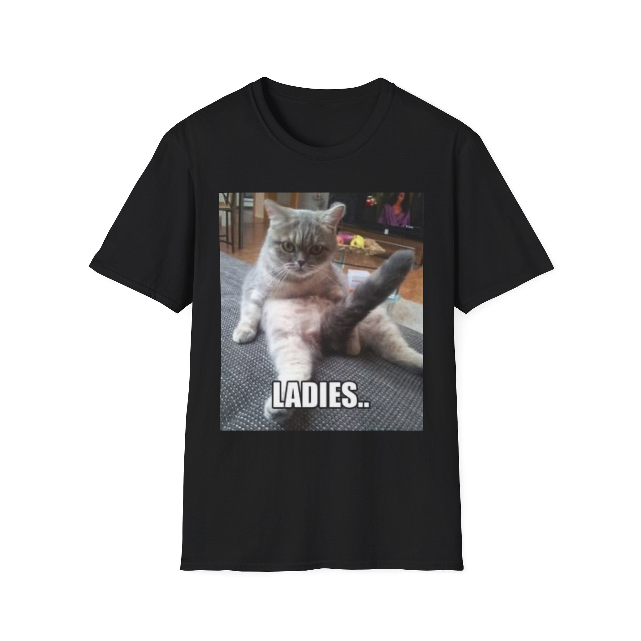 Ladies… 😼